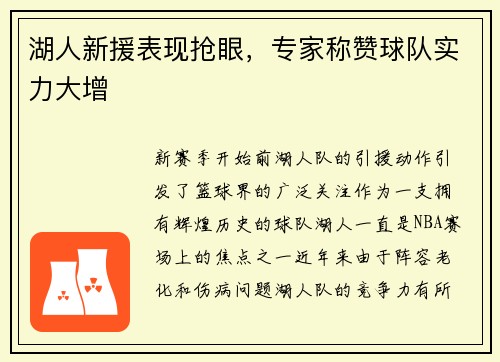 湖人新援表现抢眼，专家称赞球队实力大增